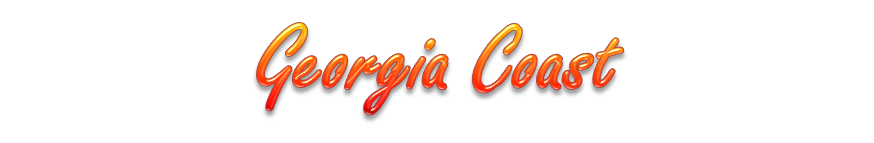Georgia Coast Webcams