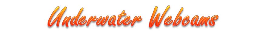 Underwater Webcams